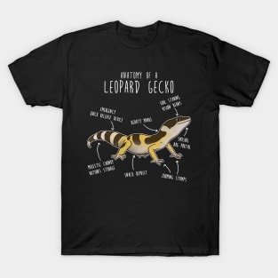 High Yellow Jungle Leopard Gecko Lizard Reptile Anatomy T-Shirt